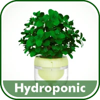 Hydroponic Farming System